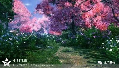主公才是真绝色