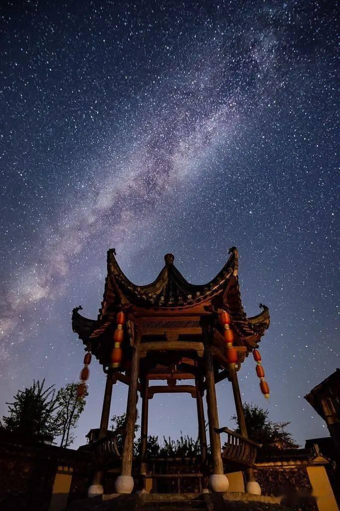 救援卷耳兔