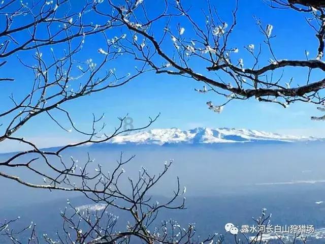 乐高漫威英雄2
