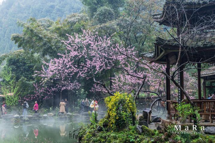 动漫传奇2.5