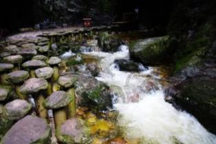 漫步大街小巷 感受鹭岛年味
