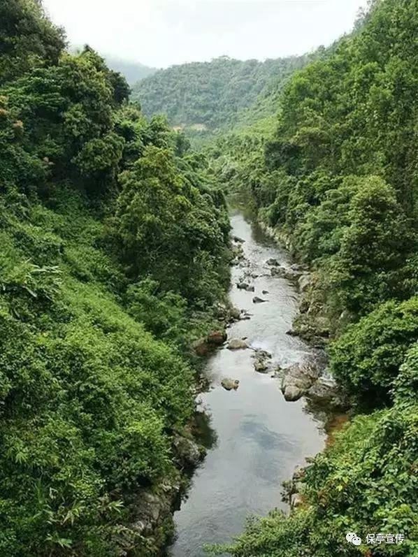博物馆小偷
